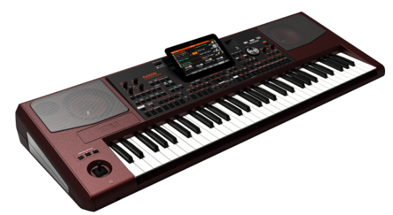 Picture of Korg PA1000